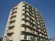 柏原市大字高井田