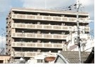 アルス八尾本町